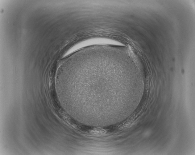 X0000087520215200705041221