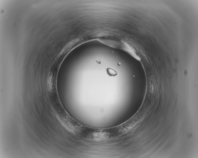 X0000087520216200705041221