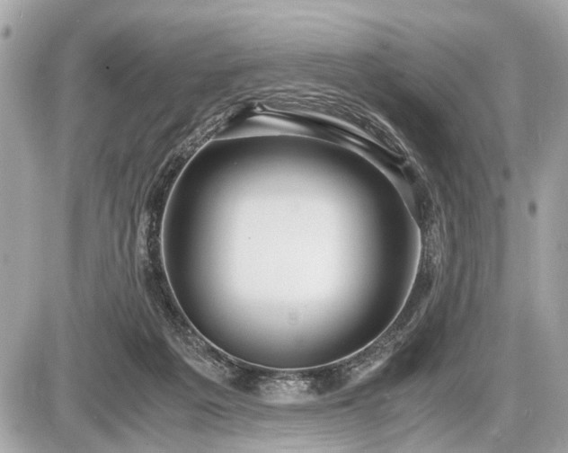 X0000087520217200705041221