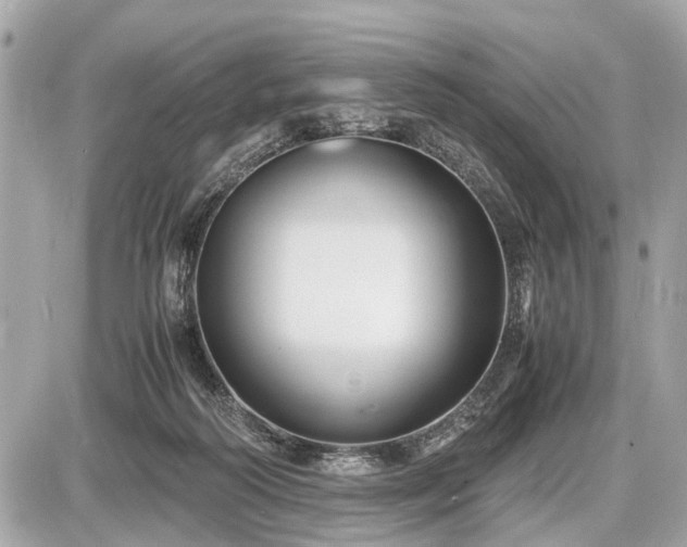 X0000087520218200705041221