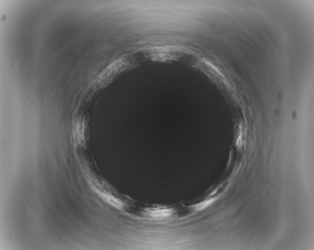 X0000087520219200705041221