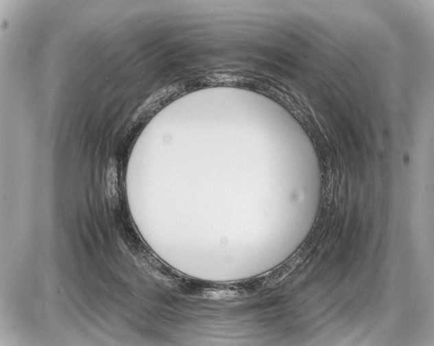 X0000087520220200705041221