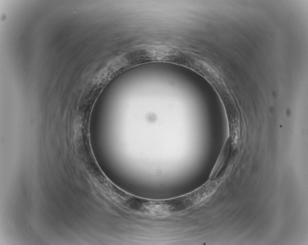 X0000087520221200705041221