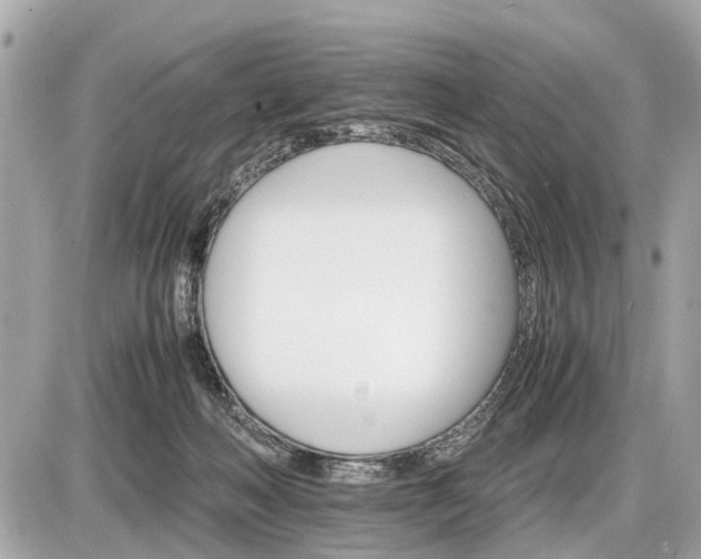 X0000087520222200705041220