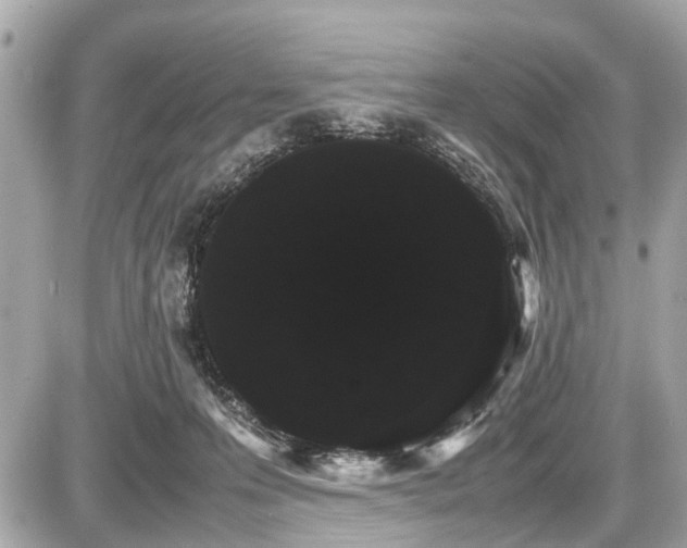 X0000087520223200705041220