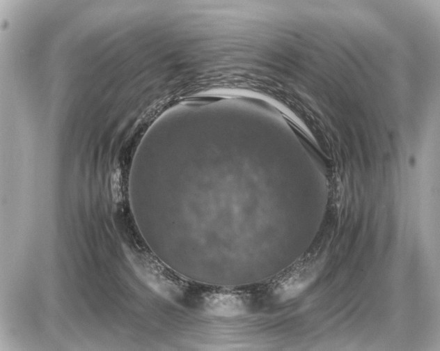 X0000087520224200705041220