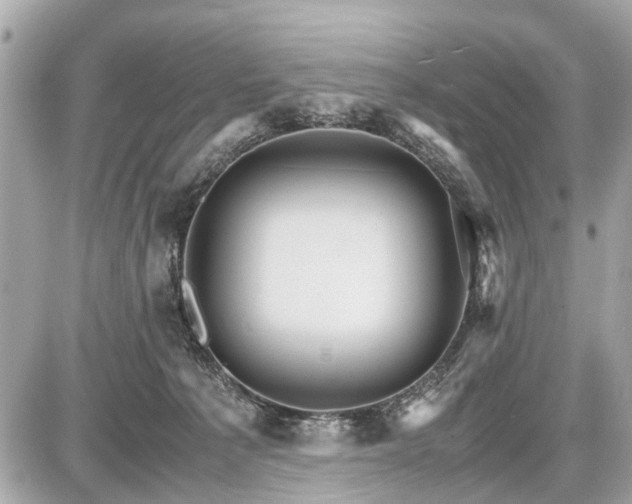 X0000087520225200705041220