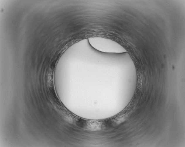 X0000087520226200705041220