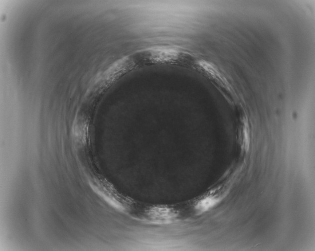 X0000087520227200705041220