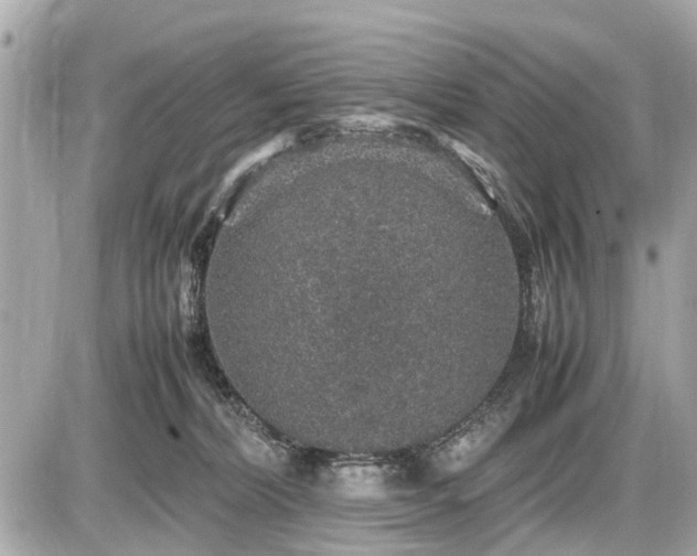 X0000087520228200705041220