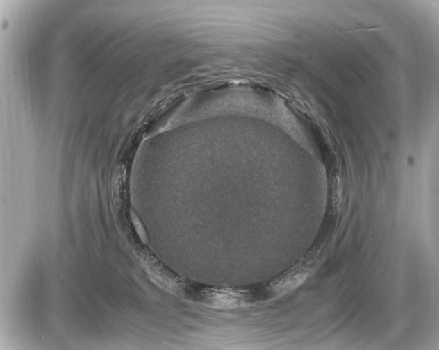 X0000087520229200705041220