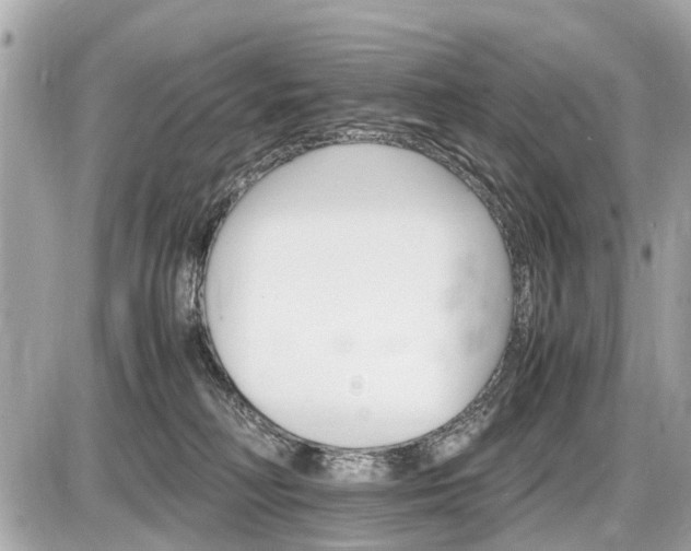 X0000087520230200705041220