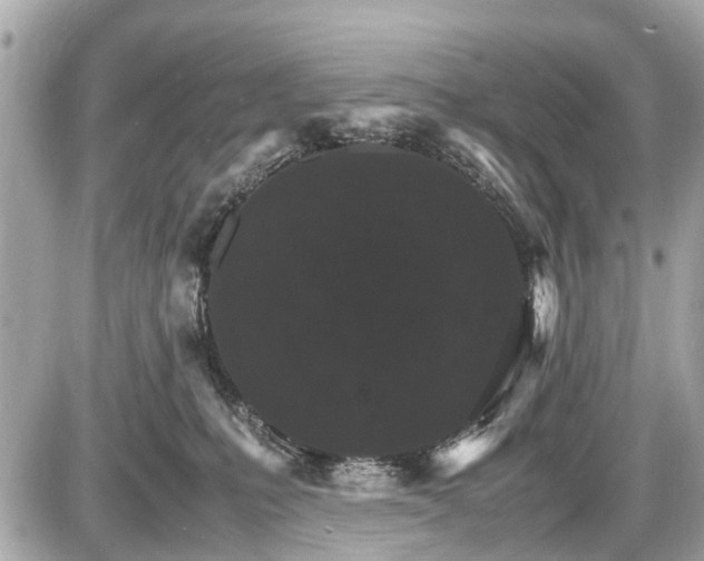 X0000087520231200705041220