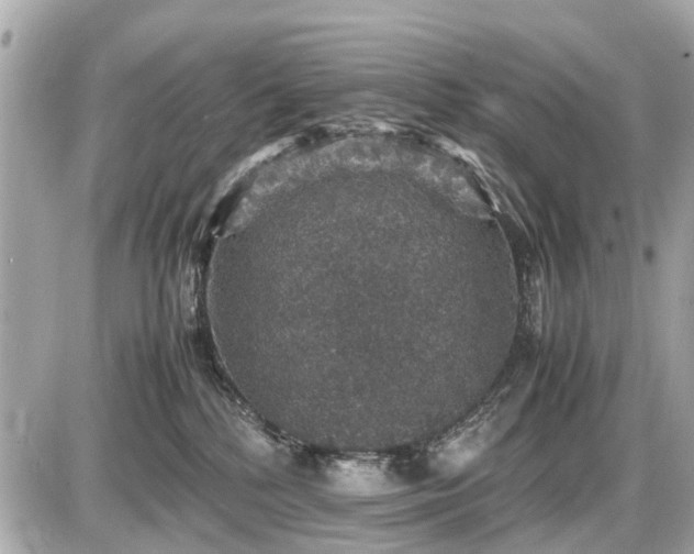 X0000087520232200705041220