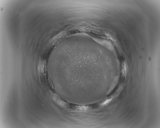 X0000087520233200705041220