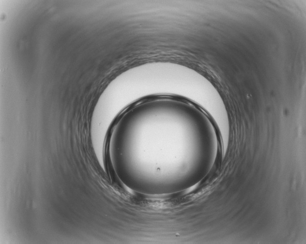 X0000087520237200705041220