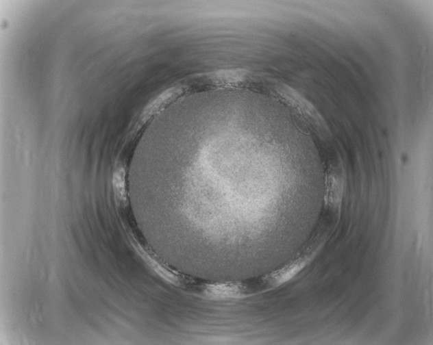 X0000087520238200705041220