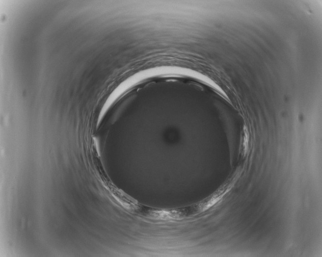 X0000087520239200705041220