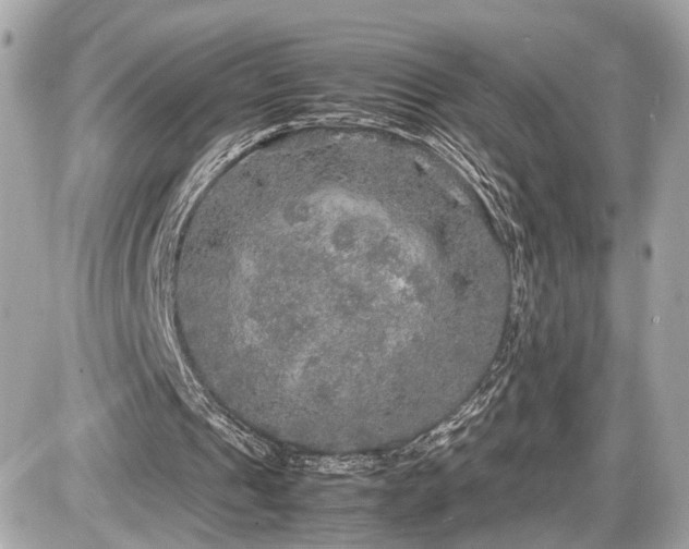 X0000087520241200705041219