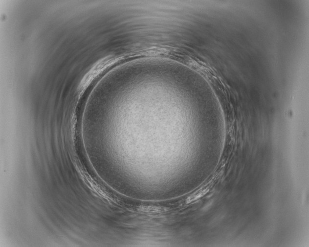 X0000087520242200705041219