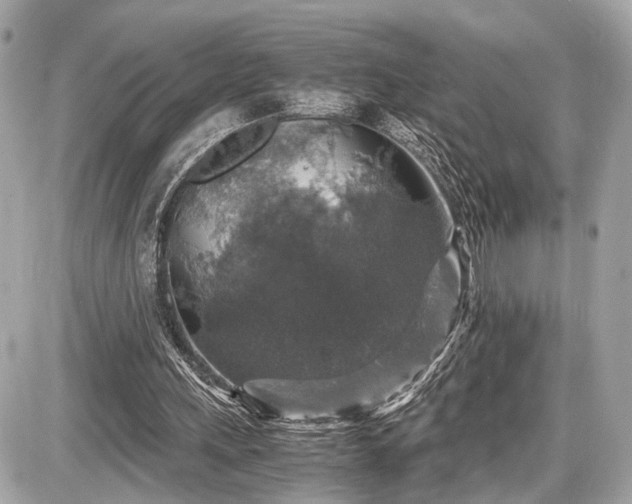 X0000087520243200705041219