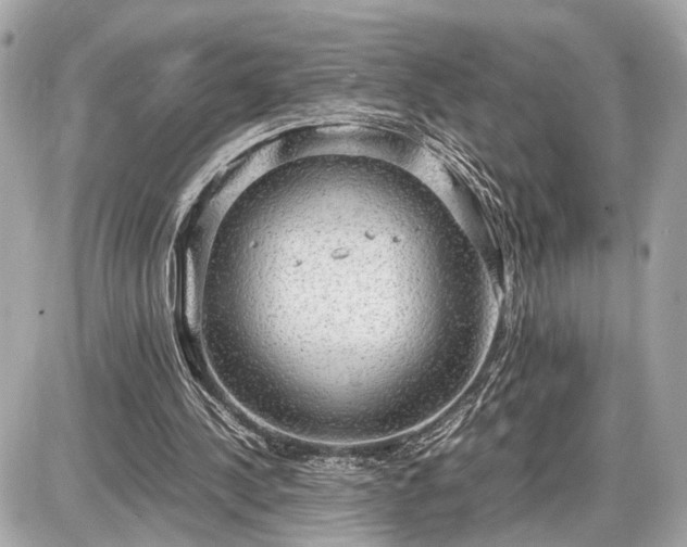 X0000087520244200705041219