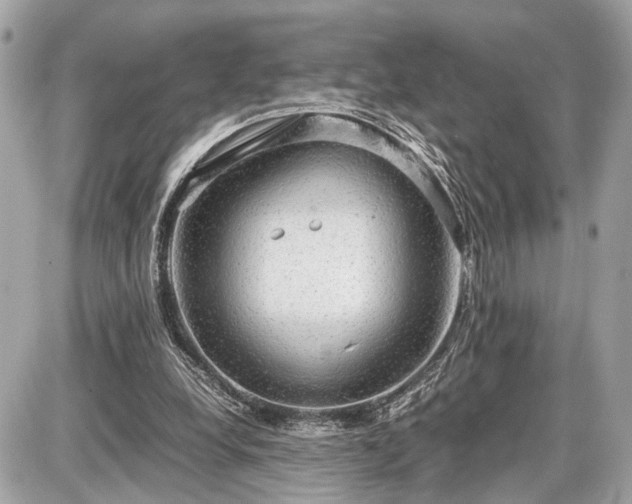 X0000087520248200705041220