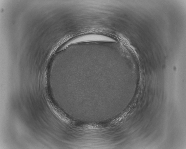 X0000087520250200705041220