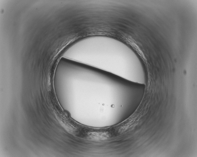 X0000087520251200705041220