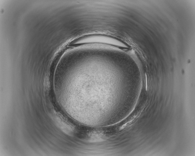 X0000087520252200705041220