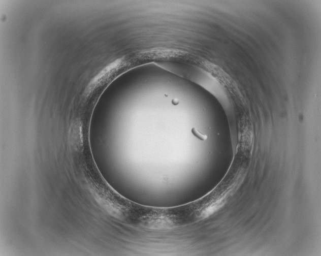 X0000087520254200705041220