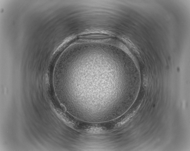 X0000087520256200705041220