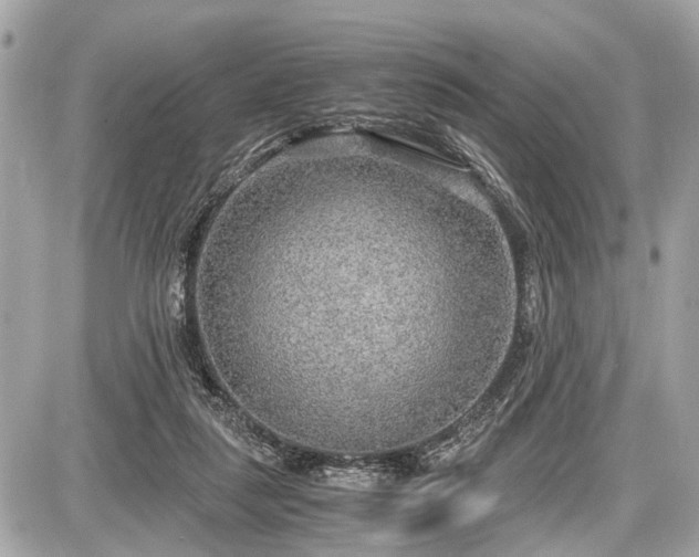 X0000087520259200705041220