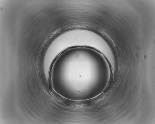 X0000087520260200705041220