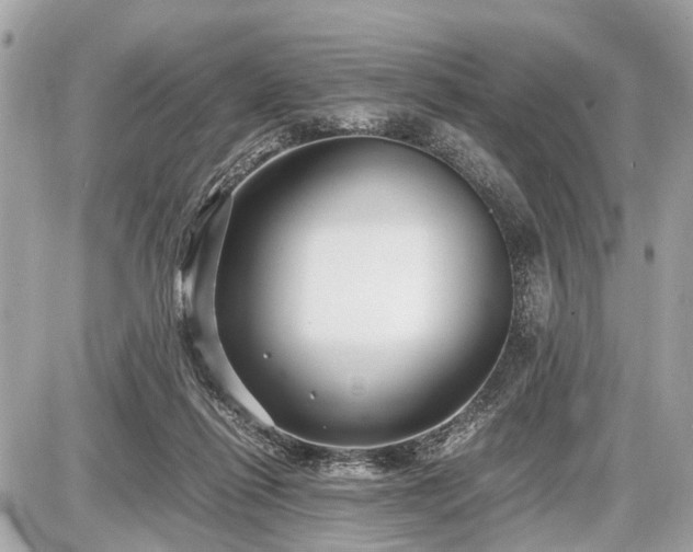 X0000087520262200705041220