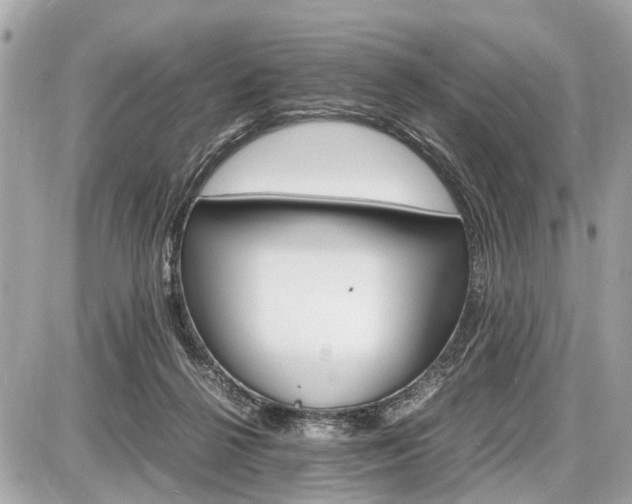 X0000087520264200705041220