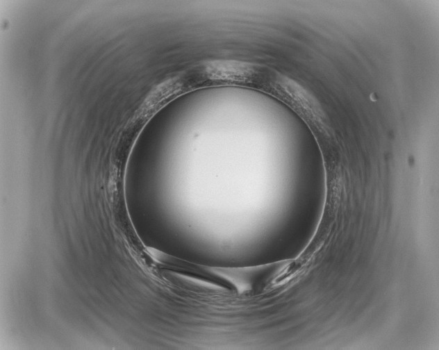 X0000087520265200705041220