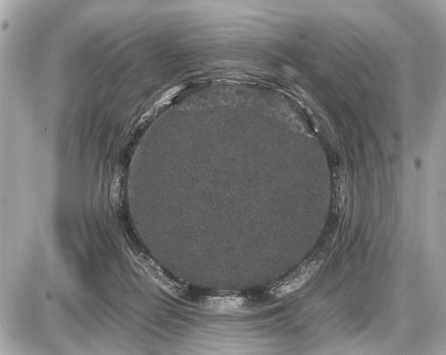 X0000087520266200705041220