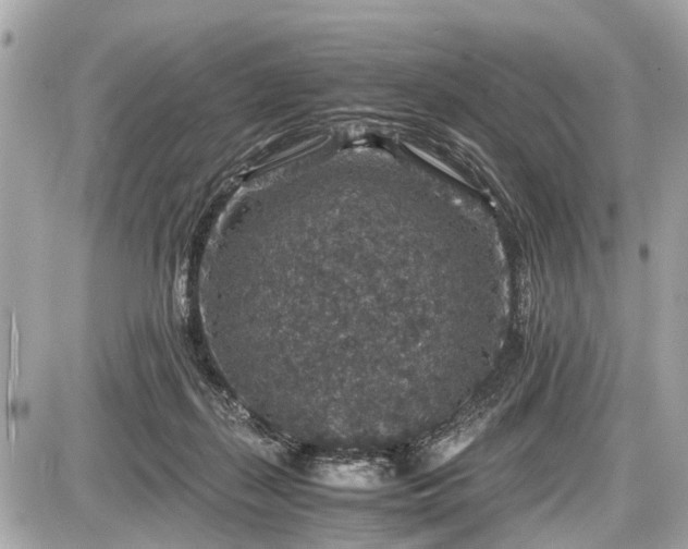 X0000087520267200705041220