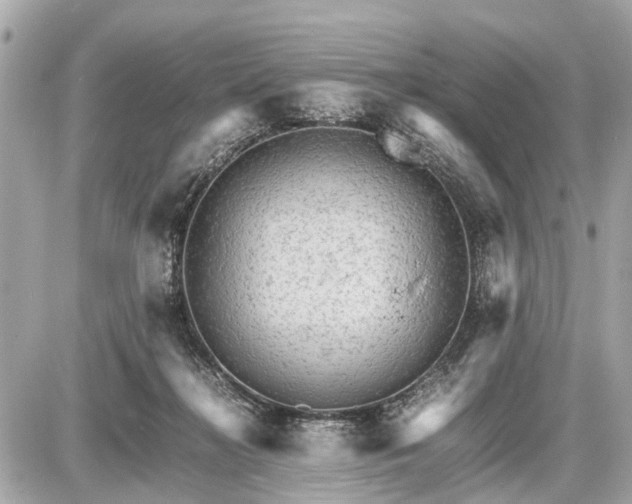 X0000087520268200705041220