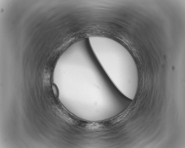 X0000087520269200705041220