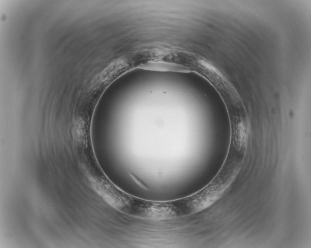 X0000087520270200705041220