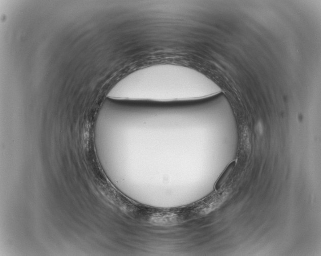 X0000087520271200705041220