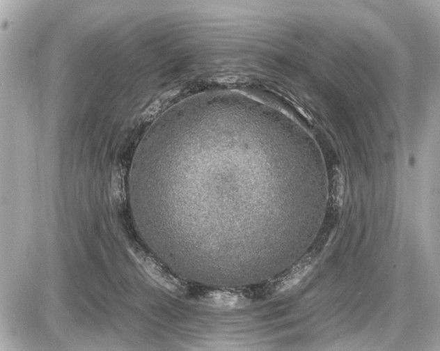 X0000087520272200705041220