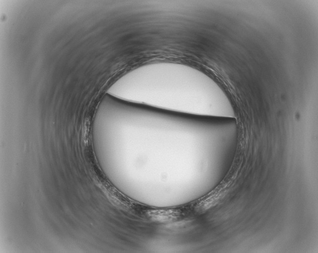 X0000087520273200705041220