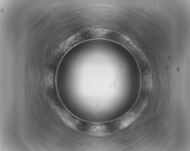 X0000087520274200705041220