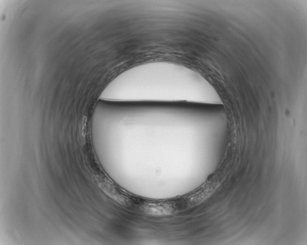 X0000087520275200705041220