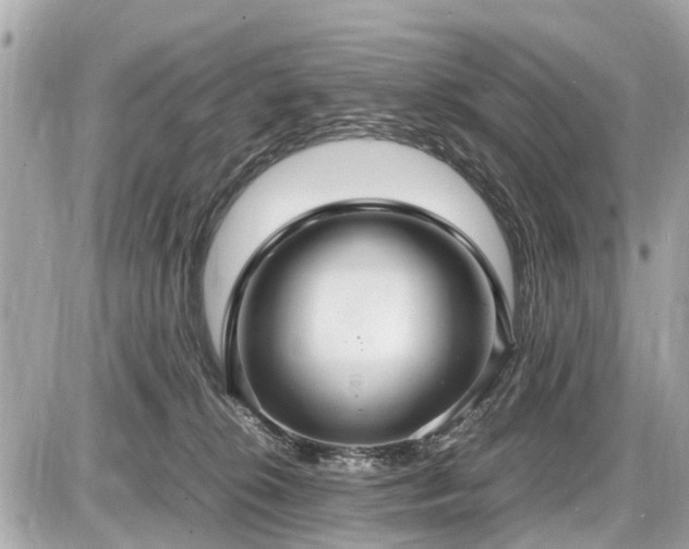 X0000087520276200705041220