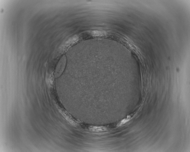 X0000087520277200705041220