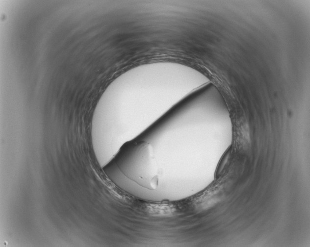 X0000087520281200705041220